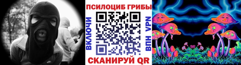 Псилоцибиновые грибы MAGIC MUSHROOMS  купить  цена  Александровское 